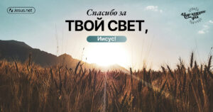 чудо каждого дня