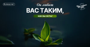 чудо каждого дня