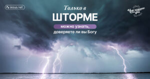 чудо каждого дня
