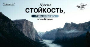 чудо каждого дня