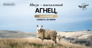 чудо каждого дня
