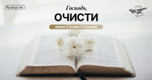 чудо каждого дня