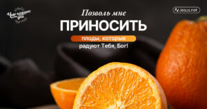 чудо каждого дня