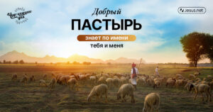 чудо каждого дня