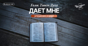 чудо каждого дня